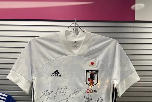 札幌ドームの写真・動画_image_1074508