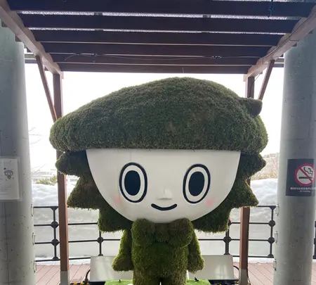 札幌ドームの写真・動画_image_1074509