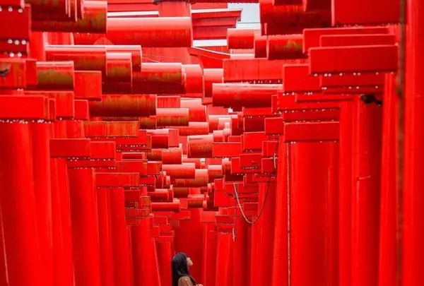 小泉稲荷神社の写真・動画_image_1075936