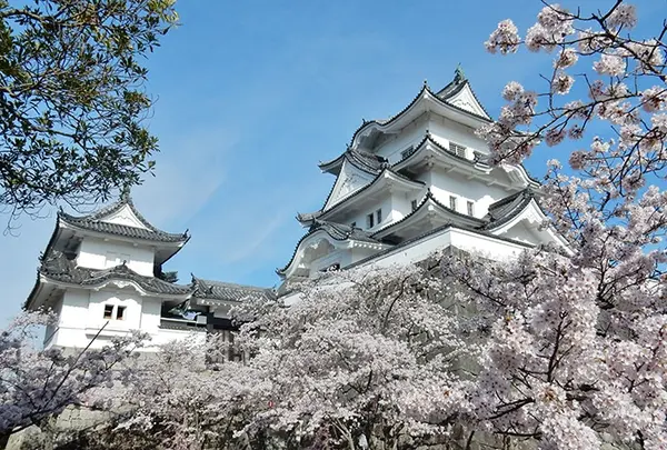 伊賀上野城 天守閣