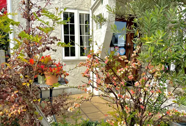 ごちそうカフェ うかたまの写真・動画_image_1080464