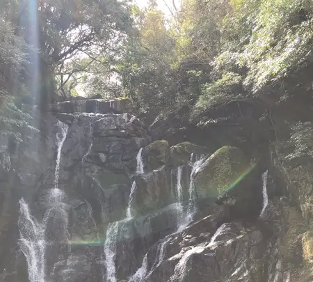 白糸の滝の写真・動画_image_1083721