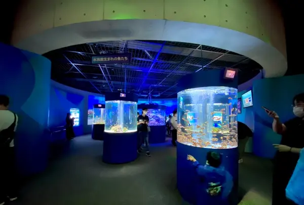 鴨川シーワールドの写真・動画_image_1083897
