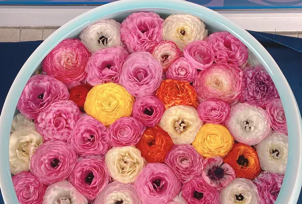 砥部焼陶芸館の写真・動画_image_1084244