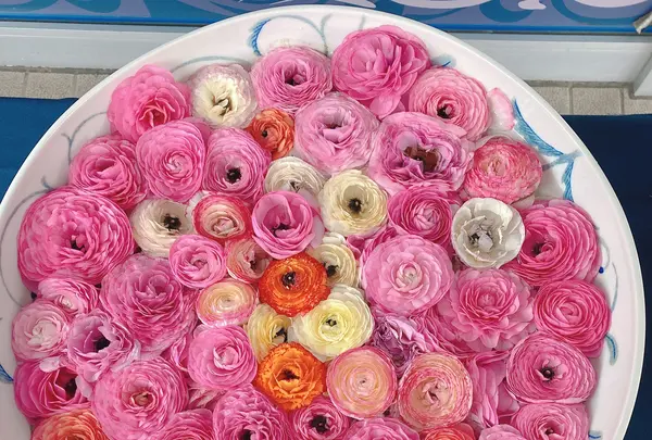 砥部焼陶芸館の写真・動画_image_1084245