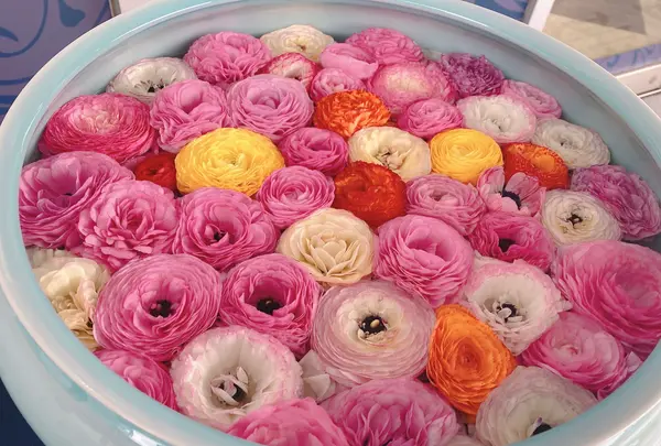 砥部焼陶芸館の写真・動画_image_1084246