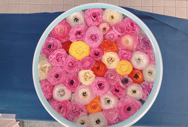 砥部焼陶芸館の写真・動画_image_1084247