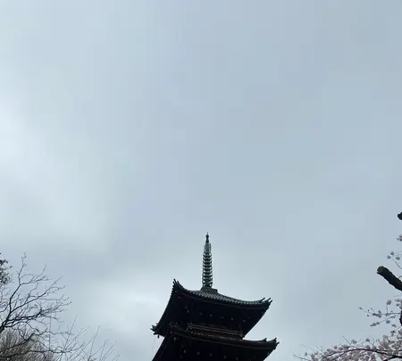 上野恩賜公園（上野公園）の写真・動画_image_1084904
