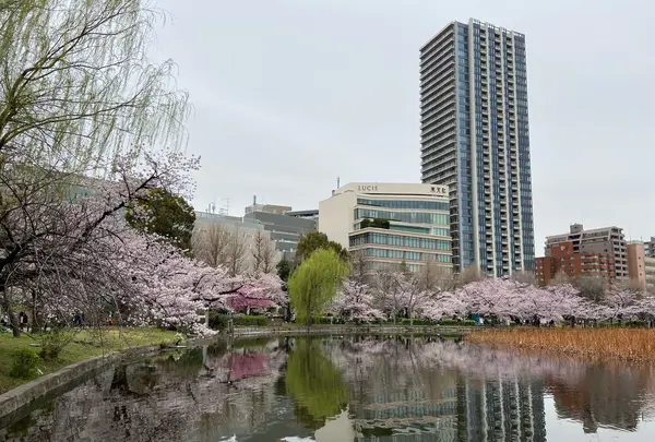 上野恩賜公園（上野公園）の写真・動画_image_1084911