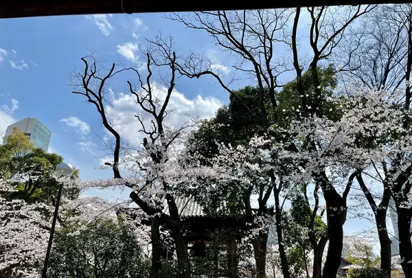 TERA CAFE SHIEN ZOJOJIの写真・動画_image_1085111