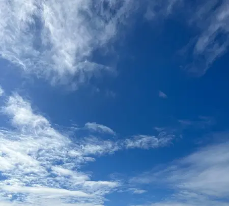 鵠沼海岸の写真・動画_image_1089031