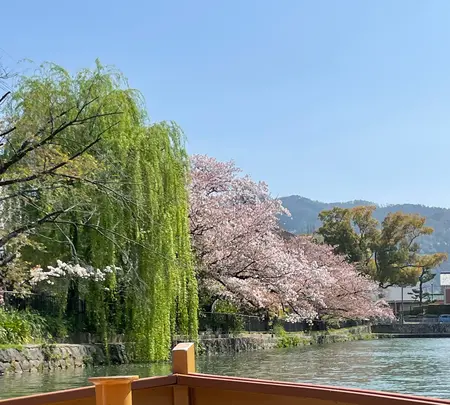 岡崎疏水の写真・動画_image_1090583