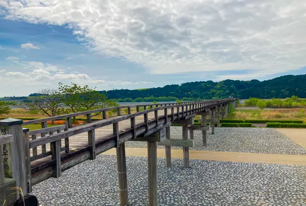 蓬莱橋の写真・動画_image_1092720