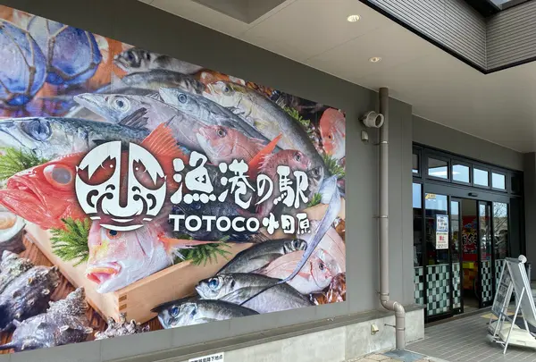 漁港の駅 TOTOCO小田原の写真・動画_image_1097697
