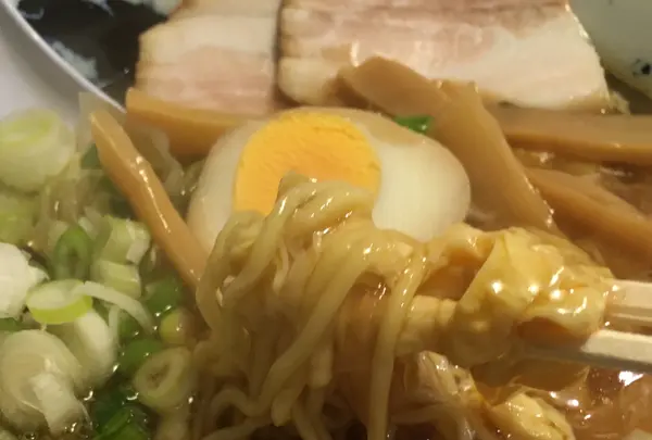 居酒屋 志麻の写真・動画_image_1100453