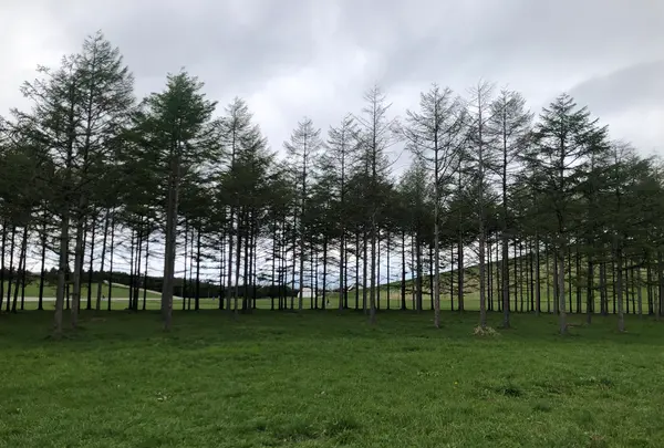 モエレ沼公園の写真・動画_image_1106695
