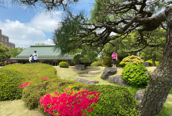 清澄庭園の写真・動画_image_1106779