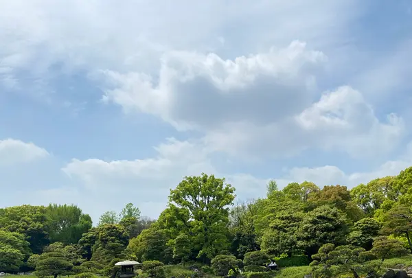 清澄庭園の写真・動画_image_1106781