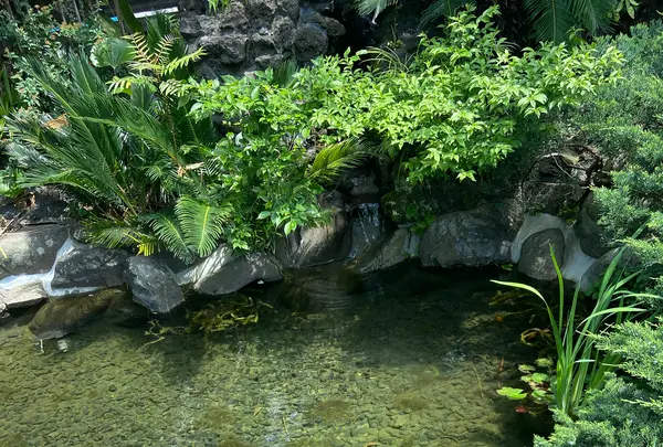 タケルクインディチLOQUAT西伊豆店の写真・動画_image_1109119