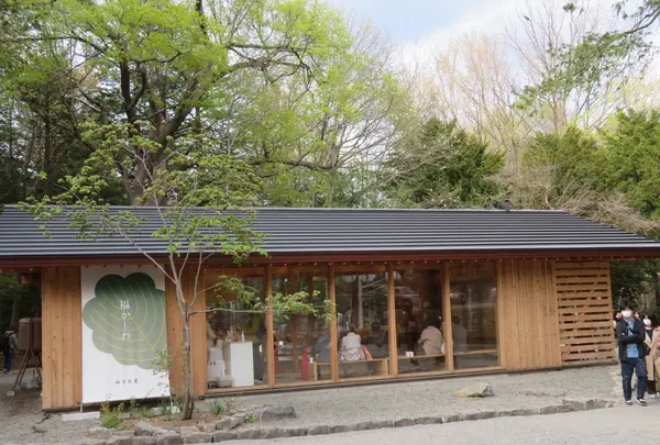 北海道神宮 茶屋の写真・動画_image_1109227