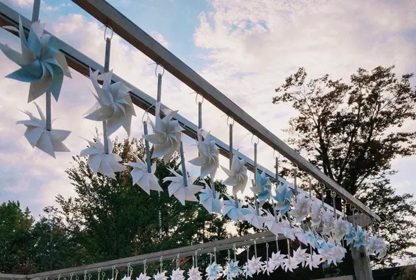 川越氷川神社の写真・動画_image_1110059