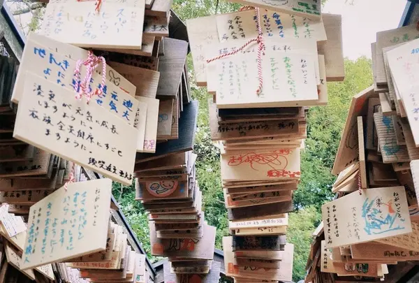 川越氷川神社の写真・動画_image_1110061