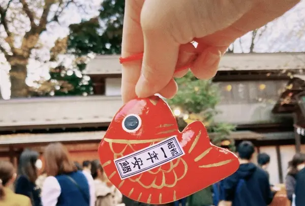 川越氷川神社の写真・動画_image_1110062