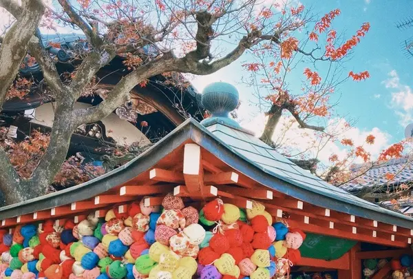 八坂庚申堂の写真・動画_image_1110080