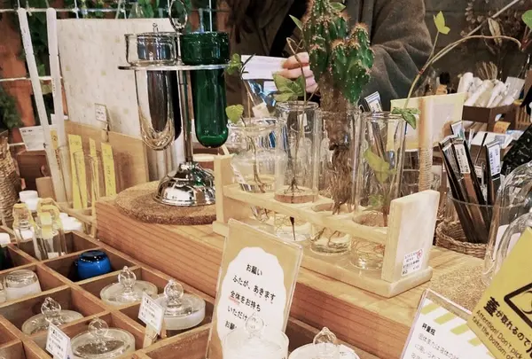 リカシツの写真・動画_image_1110157