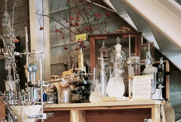 リカシツの写真・動画_image_1110158