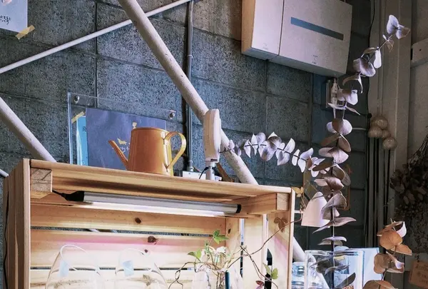 リカシツの写真・動画_image_1110159