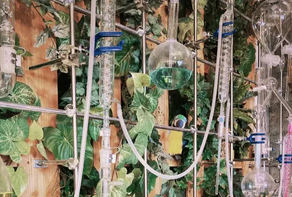 リカシツの写真・動画_image_1110160