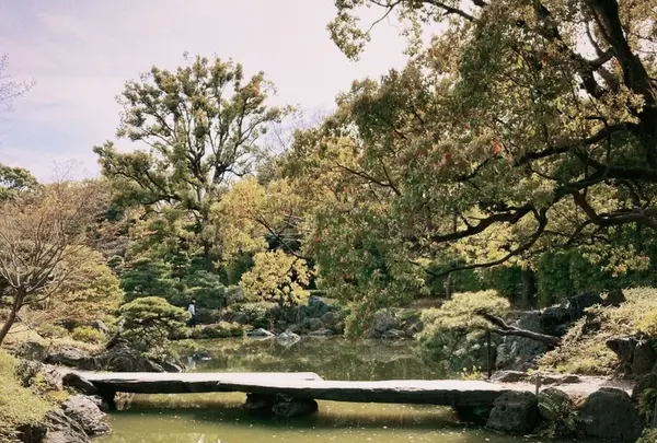 清澄庭園の写真・動画_image_1110171