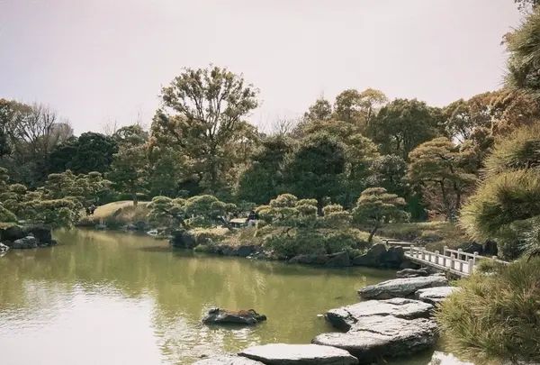清澄庭園の写真・動画_image_1110172