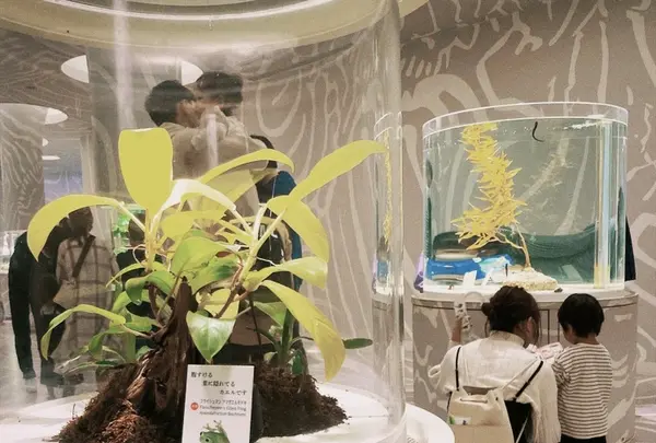 ニフレルの写真・動画_image_1110218