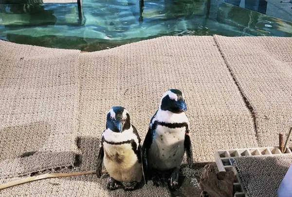 ニフレルの写真・動画_image_1110226