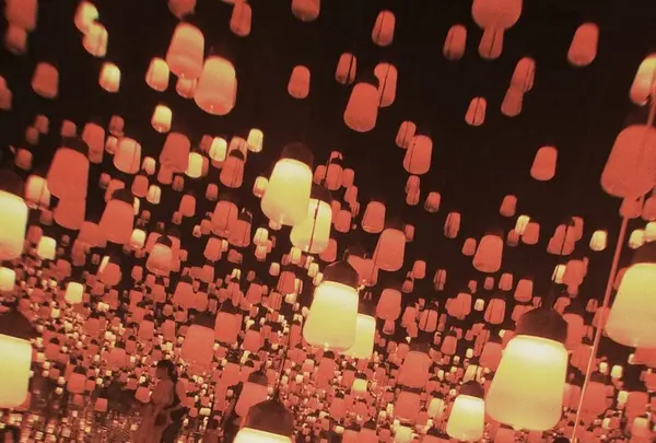 【閉業】森ビルデジタルアートミュージアム：エプソン チームラボボーダレス（MORI Building Digital Art Museum: EPSON teamLab Borderless）の写真・動画_image_1110752