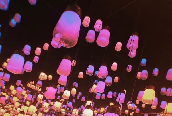 【閉業】森ビルデジタルアートミュージアム：エプソン チームラボボーダレス（MORI Building Digital Art Museum: EPSON teamLab Borderless）の写真・動画_image_1110753