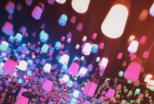 【閉業】森ビルデジタルアートミュージアム：エプソン チームラボボーダレス（MORI Building Digital Art Museum: EPSON teamLab Borderless）の写真・動画_image_1110754