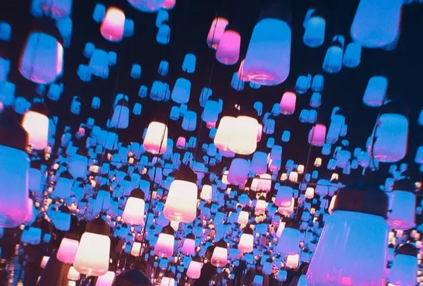 【閉業】森ビルデジタルアートミュージアム：エプソン チームラボボーダレス（MORI Building Digital Art Museum: EPSON teamLab Borderless）の写真・動画_image_1110755