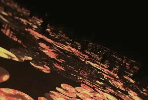 【閉業】森ビルデジタルアートミュージアム：エプソン チームラボボーダレス（MORI Building Digital Art Museum: EPSON teamLab Borderless）の写真・動画_image_1110757