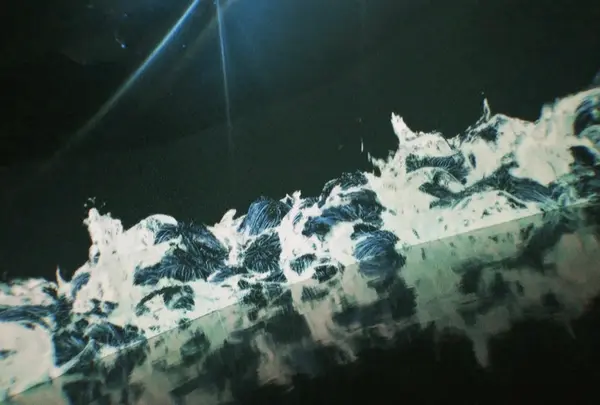 【閉業】森ビルデジタルアートミュージアム：エプソン チームラボボーダレス（MORI Building Digital Art Museum: EPSON teamLab Borderless）の写真・動画_image_1110758