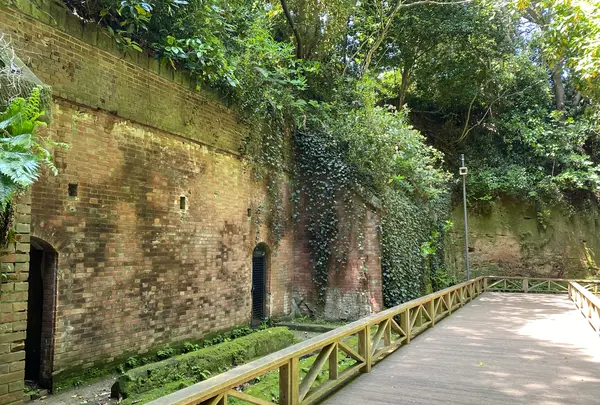 猿島の写真・動画_image_1111308