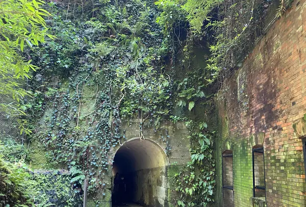 猿島の写真・動画_image_1111309