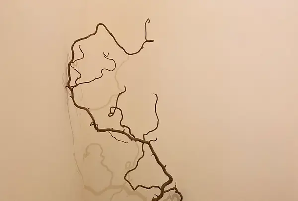 暮らしの雑貨と喫茶 / 和白の写真・動画_image_1112492