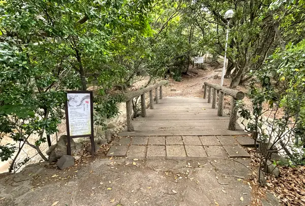 龍神橋の写真・動画_image_1118252