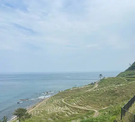 道の駅千枚田（輪島千枚田レストハウス）の写真・動画_image_1118340