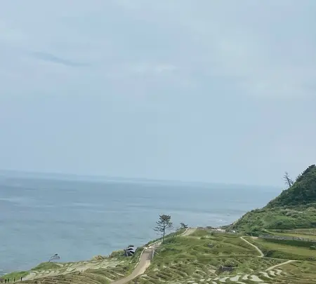 道の駅千枚田（輪島千枚田レストハウス）の写真・動画_image_1118341