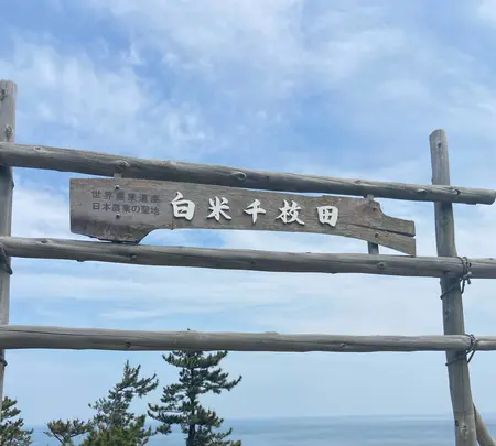 道の駅千枚田（輪島千枚田レストハウス）の写真・動画_image_1118343