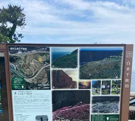 道の駅千枚田（輪島千枚田レストハウス）の写真・動画_image_1118344